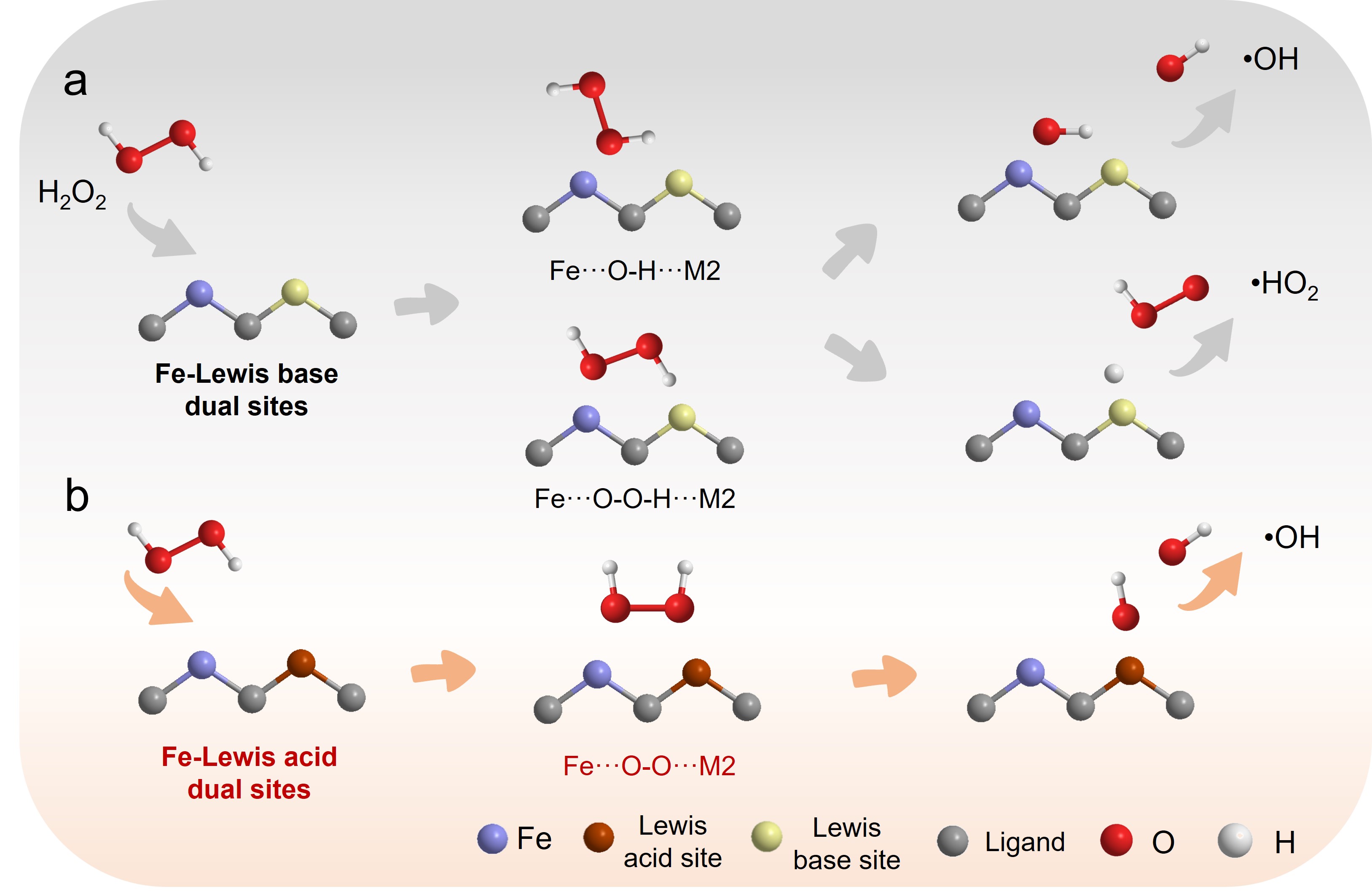 Spatially separated electron donor-acceptor